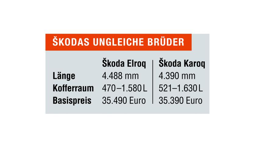 Kasten Skoda